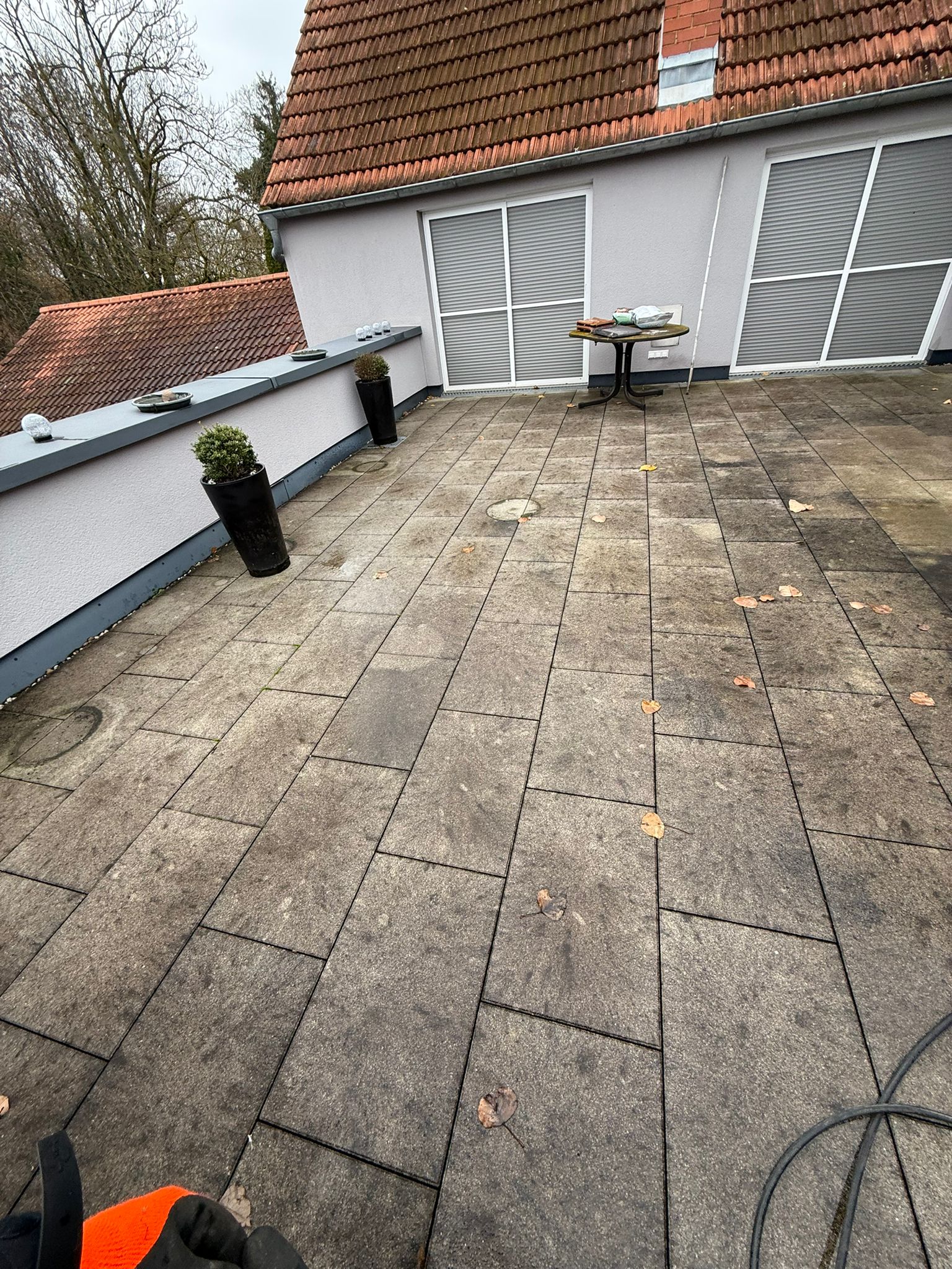 Dachterrasse vor der Reinigung, mit Moos und Algen bedeckt